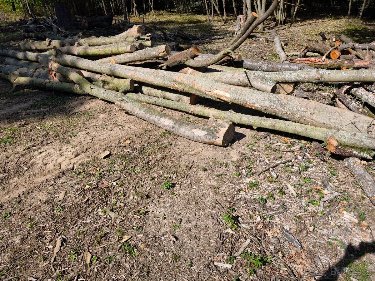 Prodám převážně Tvrdé listnaté dřevo - 10