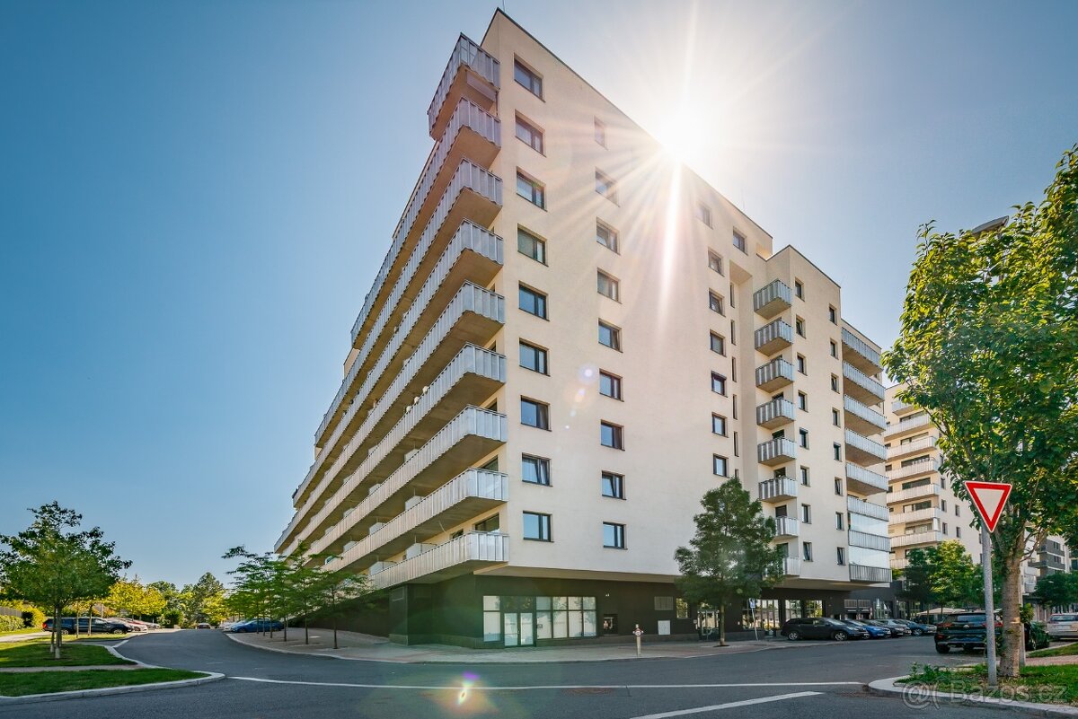 2+kk Praha 3 + parking - 10