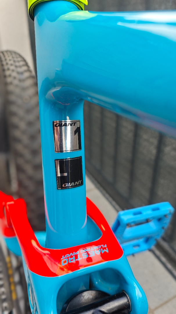 Karbon.celopéro Giant Trance Advanced_FOX - 10