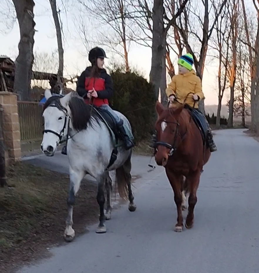 Lusitano kobyla - 10