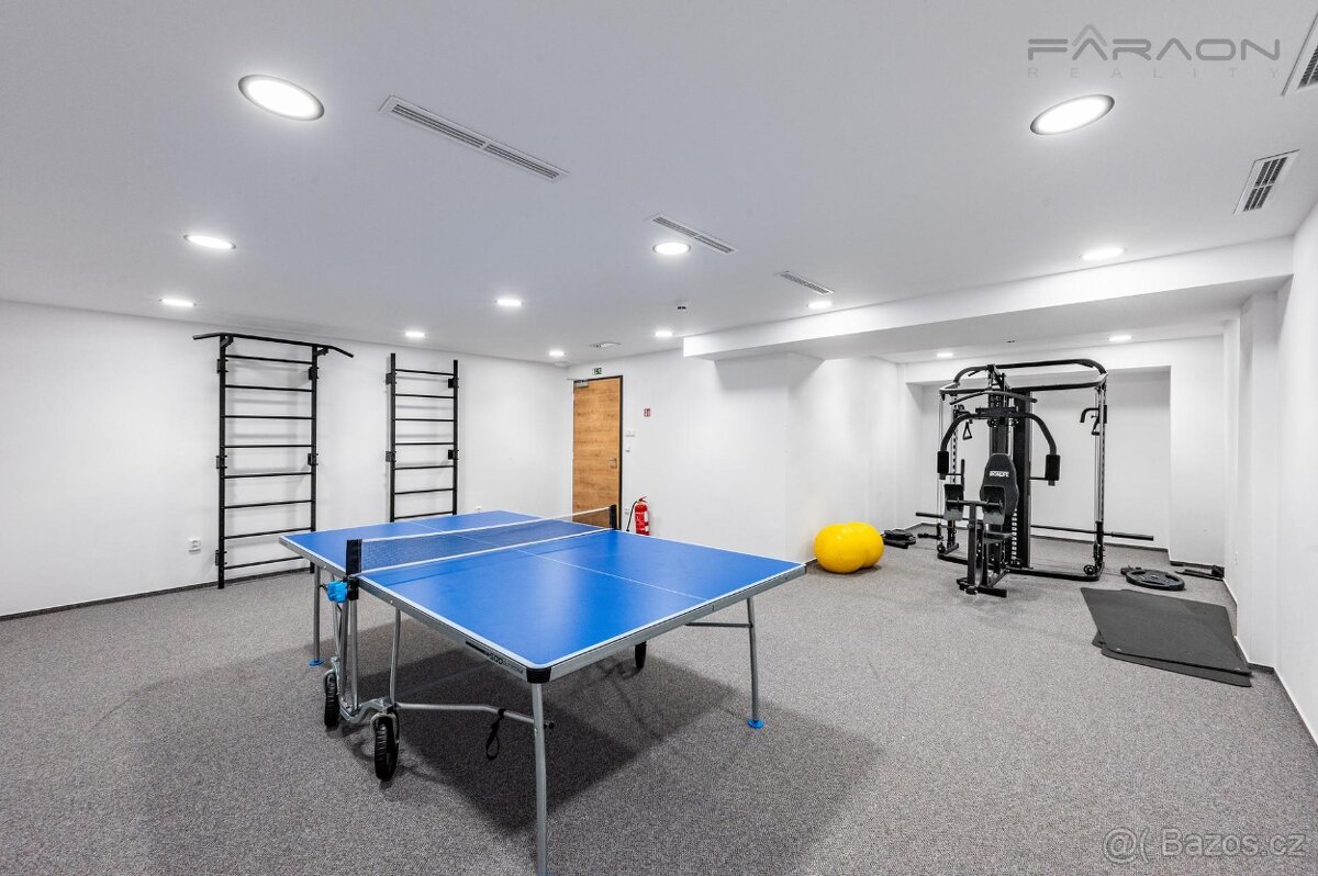 Splňte si svůj sen a pořiďte si horský apartmán na jednom z - 10