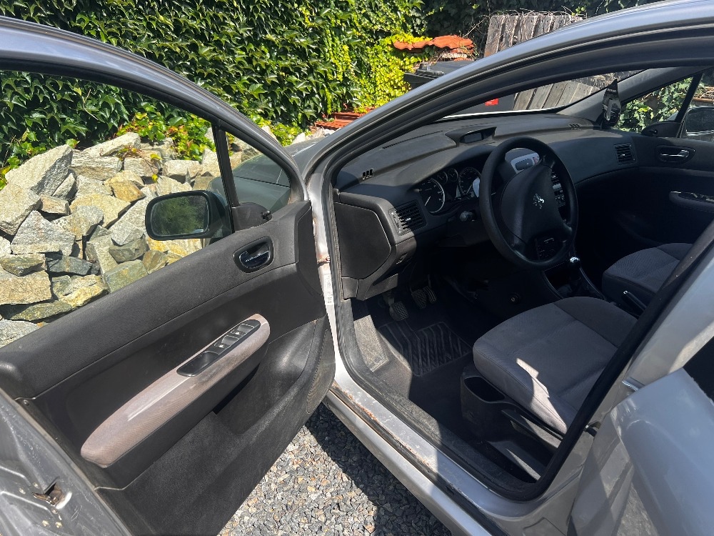 Peugeot 307 - 10