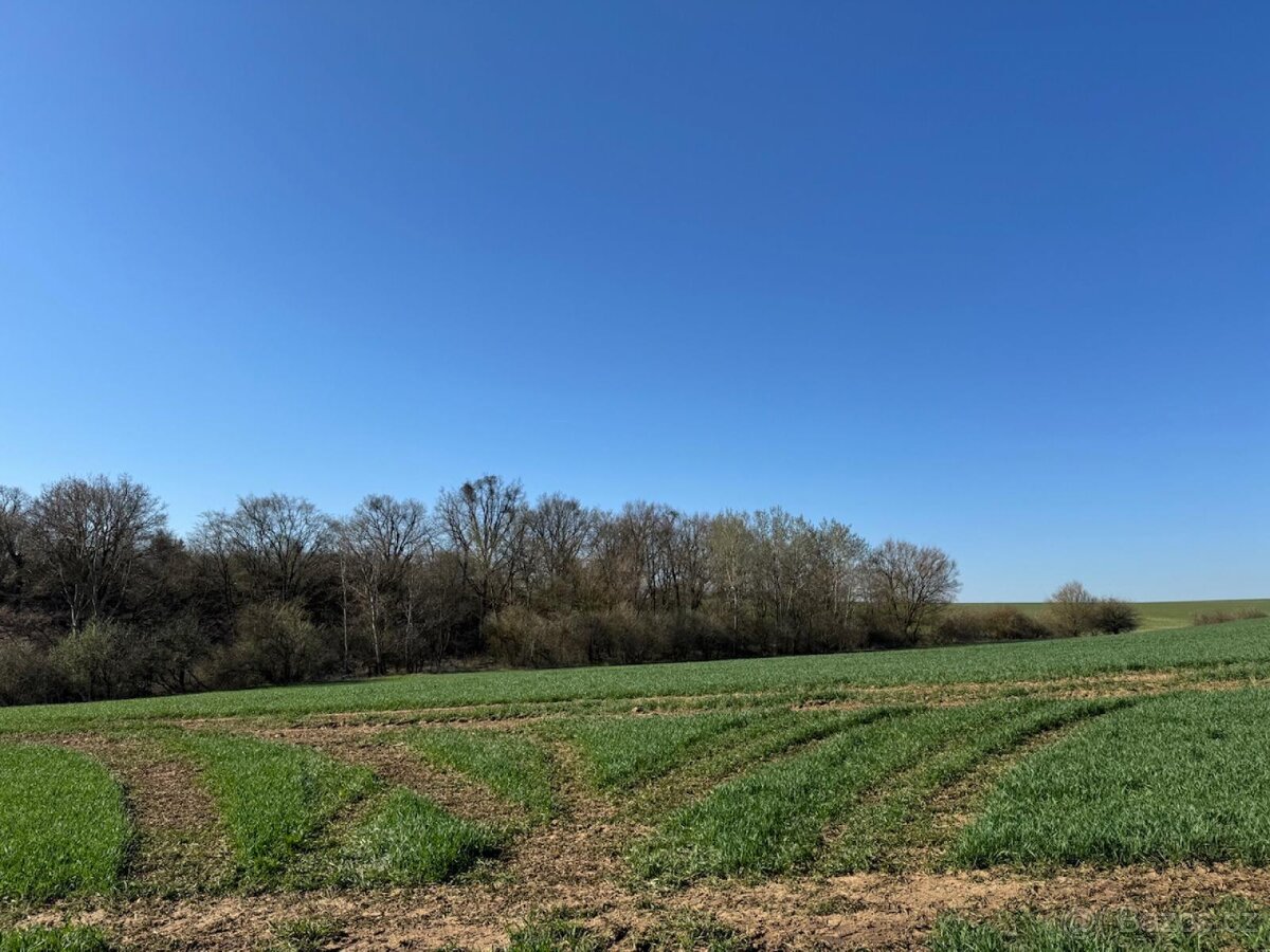 Prodám pozemky v katastrálním území Jevišovice - 10