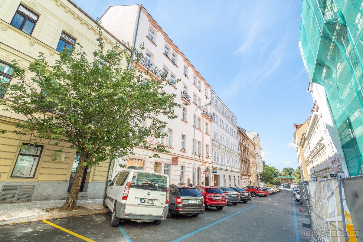 Prodej bytu 1+1 34 m² Vlkova, Praha - Žižkov - 10