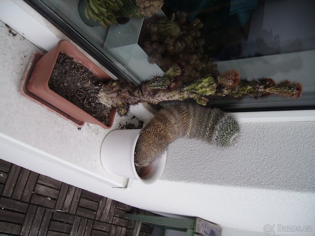 KONICA MINOLTA DiMAGE E500 - 10