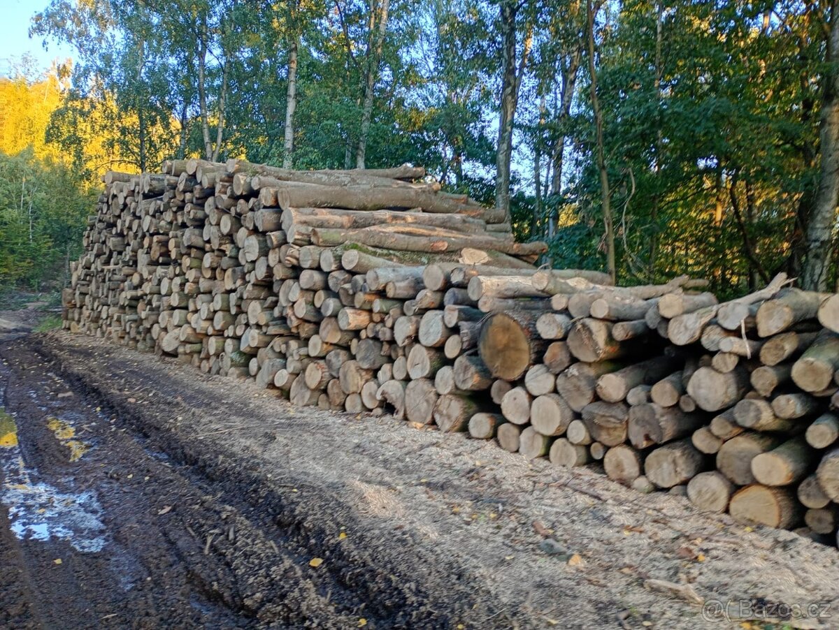 Palivové dřevo - 10