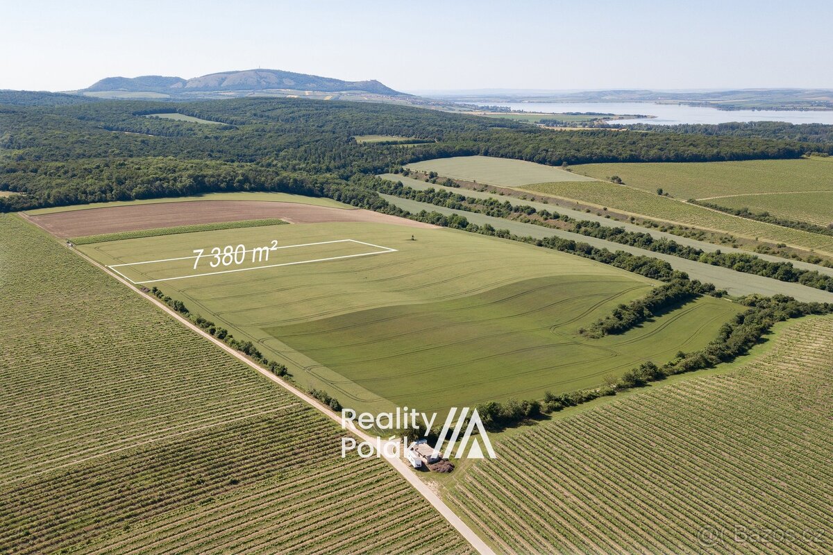Prodej orná půda, 7380 m² - Bulhary, ev.č. 25PP103 - 10