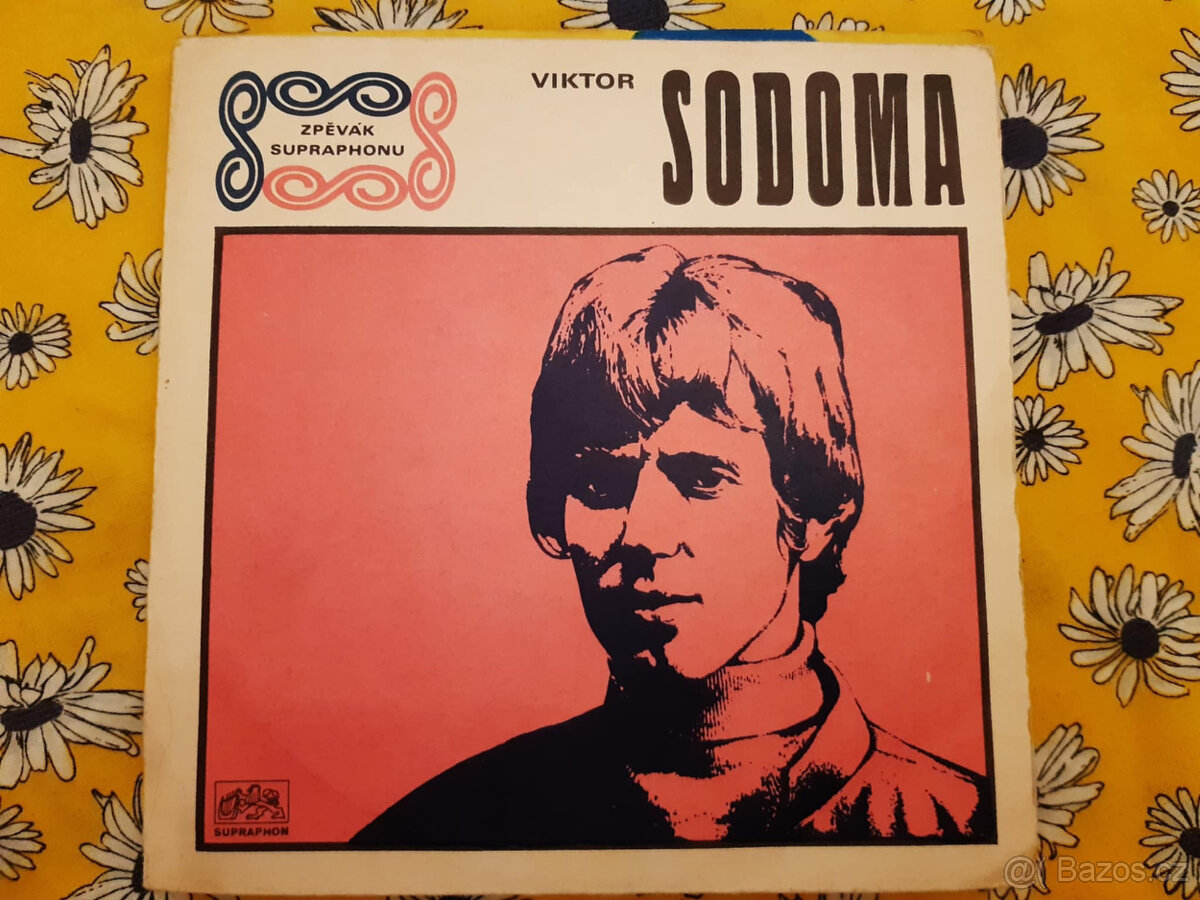 SP deska ružné druhy výběr dle foto 4 - 10