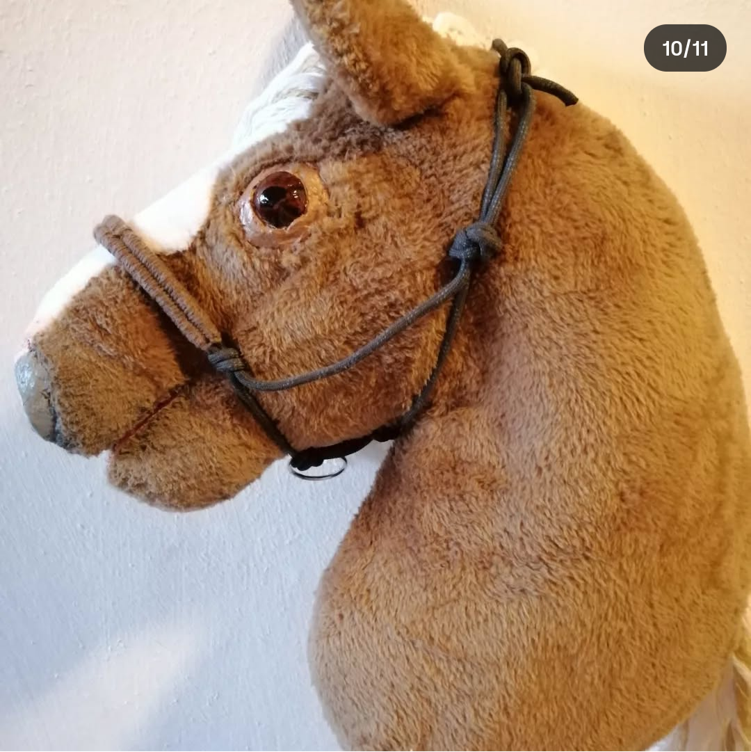 Hobby horse - realistický - 10