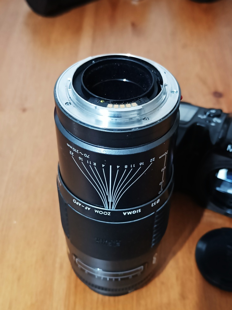 MINOLTA Dynax 500si (Sigma APO Zoom 70-210mm) - 1994 - 10