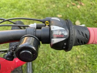 Scott Contessa 20 - 10