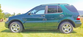 Mercedes w163 270cdi - 10