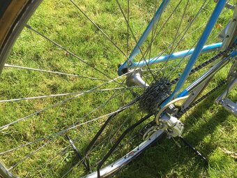 Olmo- Campagnolo Athena - 10