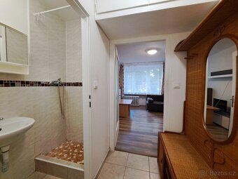 Pronájem 1+kk-zvýšené přízemí 28m², okno do zahrady. Šilingr - 10