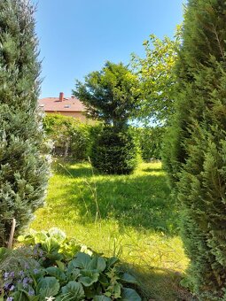 PRODEJ Chaty s pozemky - 10
