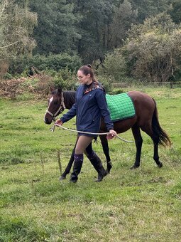 Úžasný líbivý hodny hřebeček - 10