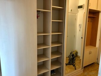 Pronájem 3+1, POD HVĚZDÁRNOU - 10