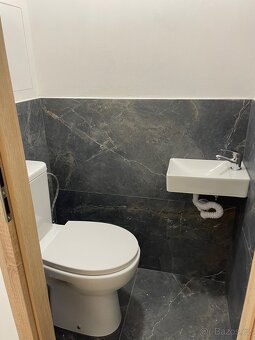 Dobrý den pronajmu byt 3+1 - 10