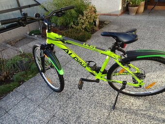 Juniorské kolo 26" Alpina Eco - 10