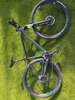 Kellys Stage Carbon - 10