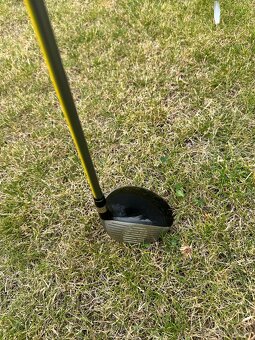 Golfový hole levý + bag - 10