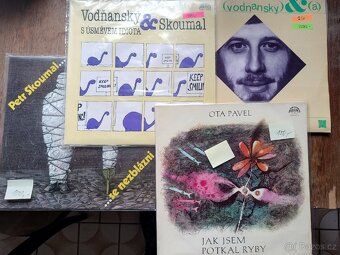 Gramodesky, vinyly - 10