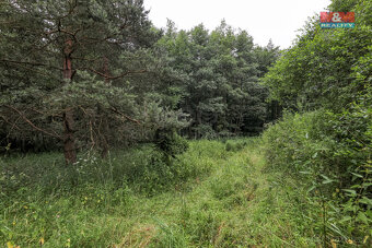 Prodej pole, 11043 m², Svárov - 10