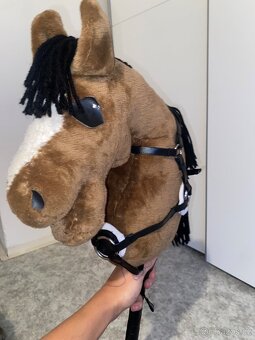 Hobby horse - 10
