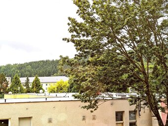 Prodej bytu 1+kk, 22,54 m  B. Smetany 1748, Kraslice - 10