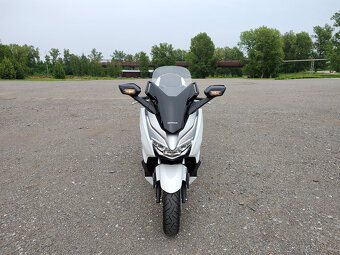 Honda Forza 300, původ ČR, perfektní stav - 10