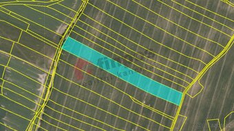 Prodej pozemků, 134466 m² v k.ú. Krtov, okres Tábor - 10