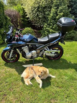 Suzuki BANDITA 1250 s Abs , LEO VINCE. - 10