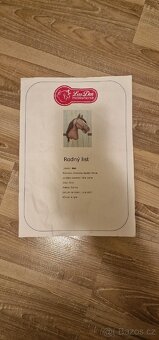Hobby Horse LarDen Sisi - 10