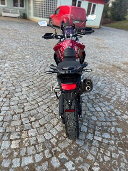 Triumph tiger 900 gt pro 2024 - 10