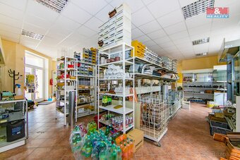 Prodej benzina, sklad, 2 221m², Město Touškov, ul. Čemínská - 10