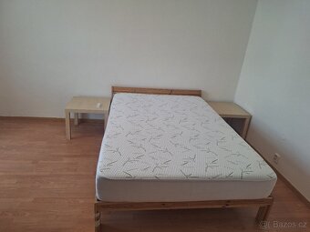 Pronájem bez RK bytu 2+1 Brno Veveří ulice Úvoz - 10