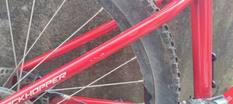 Specialized Rockhopper - 10