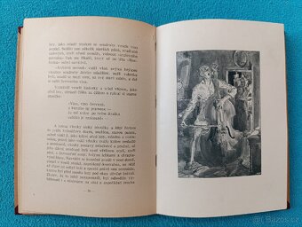 SKŘÍTEK PUK - Karel de Wetter - 10