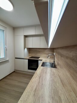 Prodej velkého, luxusního 4+1 bytu - 10