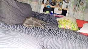 Potahy na sedací soupravu - 10