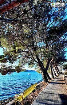 Prodej, pozemek, 561 m, , , Česko - 10