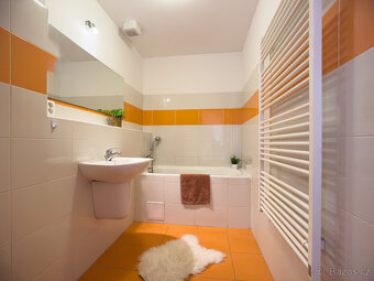 Prodej bytu 1+kk, 47m2, Olomouc, Řepčín - 10