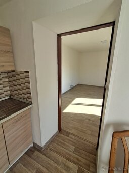 LETOVICE dům se třemi bytovými jednotkami 1+1 - 10