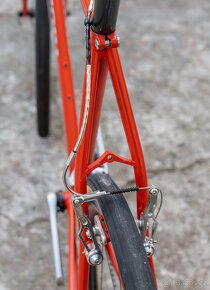 PRIORI Gravel kolo, Campagnolo Record, karbonová kola Scope - 10