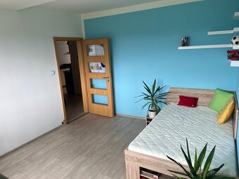 Prodej bytu 3+1, 66 m2, Stará Role Karlovy Vary - 10