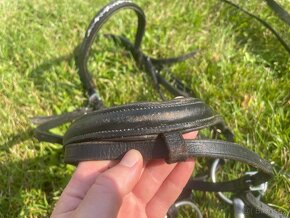 Drezurní uzdečka - 10