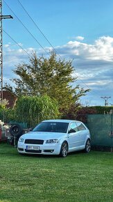 audi a3 8p - 10