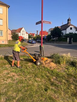 Frézování pařezů - 10