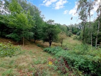 Výjimečný pozemek 8.483 m2 v oblasti Kokořínska s hotovým pr - 10