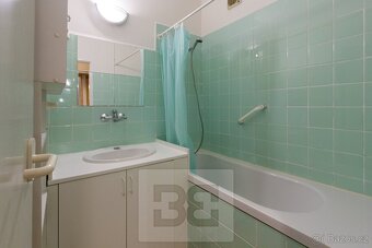 Krasný byt 1+KK s terasou na Břevnově, ev.č. N08022 - 10